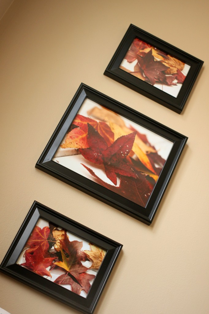 Use photos for fall decorating